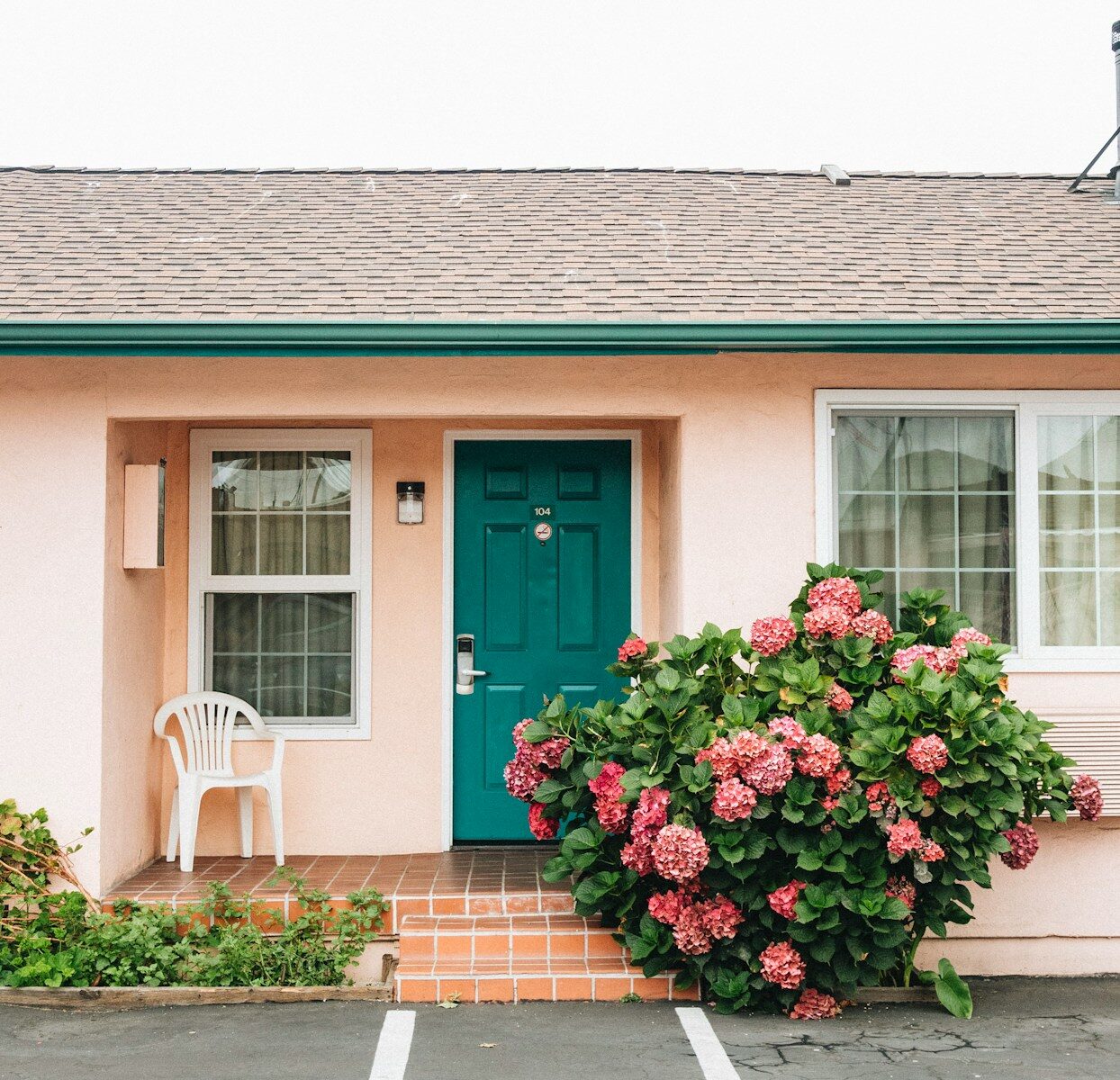 red flowers in front of blue wooden door